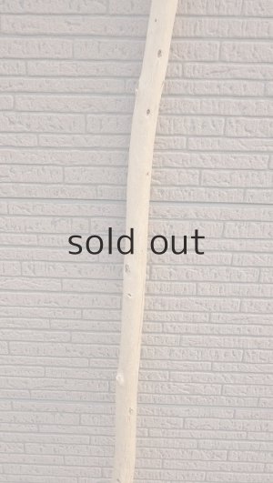 画像3: 棒流木・長尺