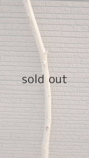 画像3: 棒流木・長尺