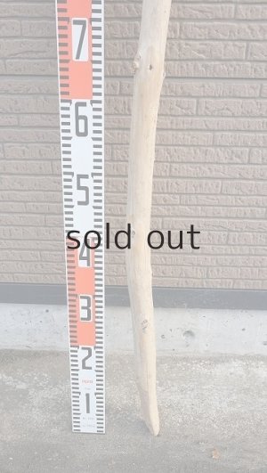 画像5: 棒流木・長尺