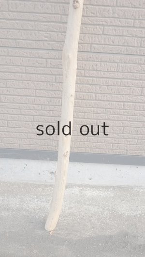 画像2: 棒流木・長尺