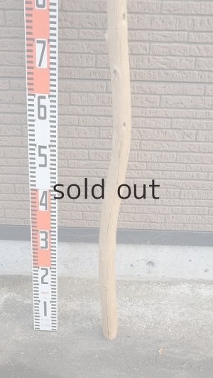 画像5: 棒流木・長尺