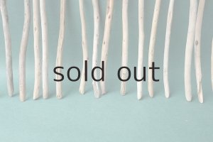 画像6: 棒流木セット