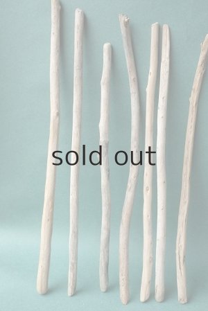 画像2: 棒流木セット