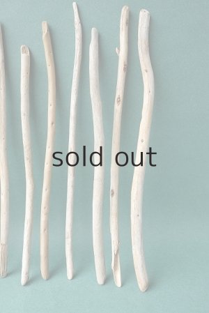 画像5: 棒流木セット