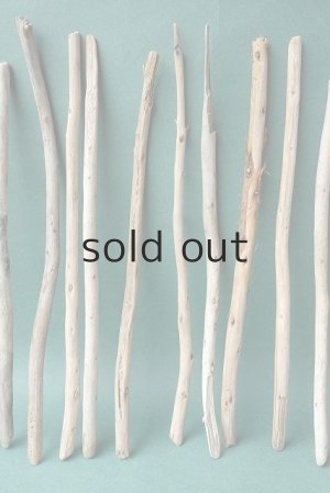 画像3: 棒流木セット