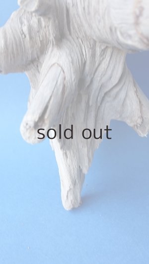 画像2: 変形流木