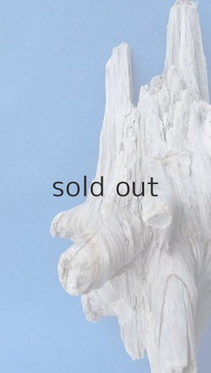 画像3: 変形流木