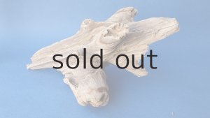 画像5: 変形流木