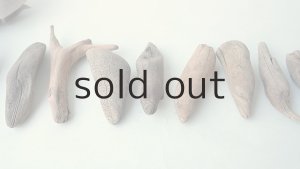 画像6: 変形流木セット