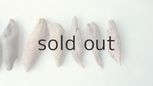 画像4: 変形流木セット