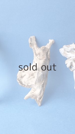 画像3: ミニ流木根セット