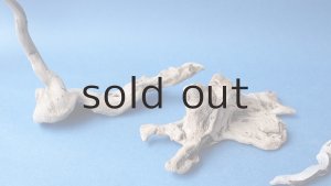 画像9: ミニ流木根セット