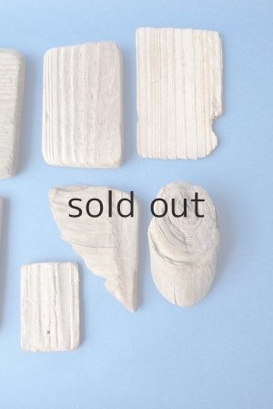 画像4: 板流木セット