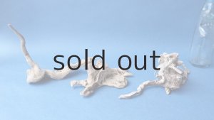 画像8: ミニ流木根セット