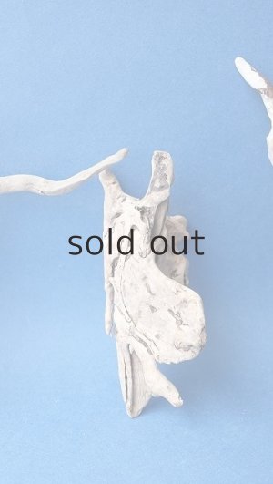 画像6: ミニ流木根セット