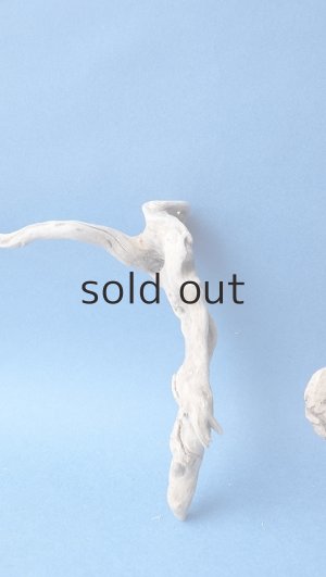 画像2: ミニ流木根セット