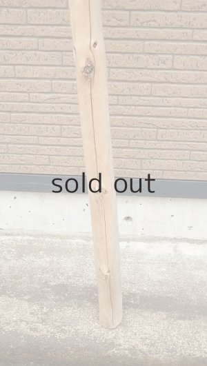 画像2: 棒流木・長尺