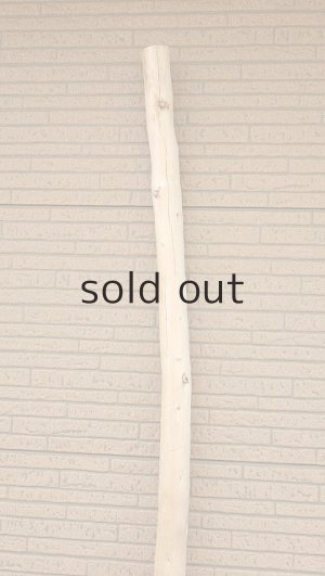 画像4: 棒流木・長尺