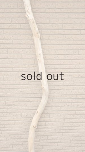 画像3: 棒流木・長尺