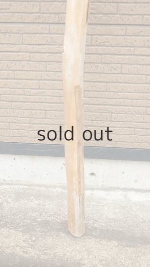 画像2: 棒流木・長尺