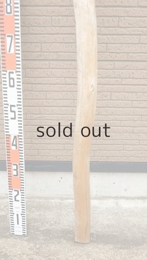 画像5: 棒流木・長尺