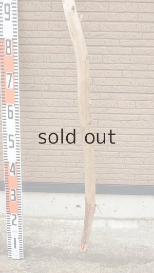 画像5: 棒流木・長尺