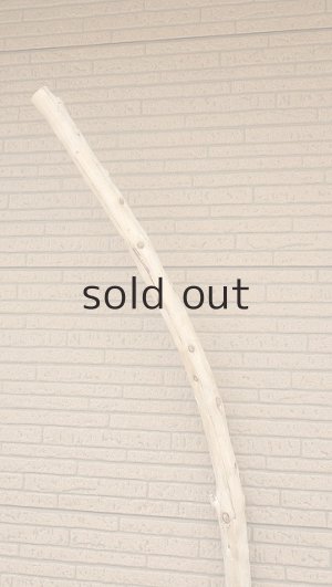 画像4: 棒流木・長尺