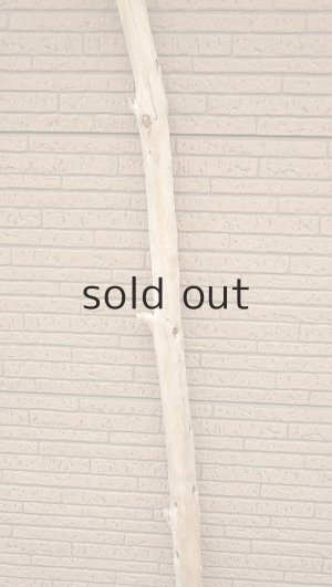 画像3: 棒流木・長尺