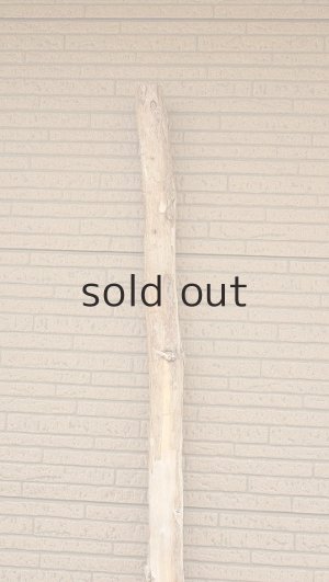 画像4: 棒流木・長尺