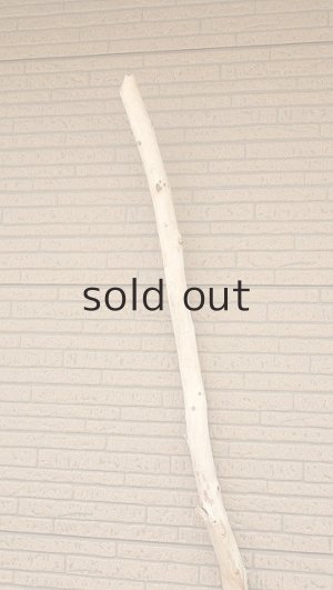 画像4: 棒流木・長尺