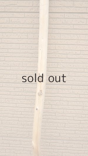 画像3: 棒流木・長尺