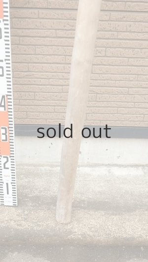 画像5: 棒流木・長尺