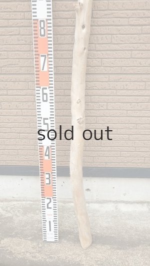 画像5: 棒流木・長尺