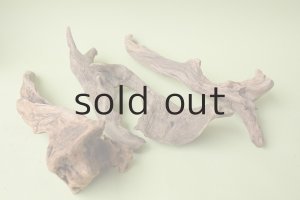 画像5: 変形流木セット