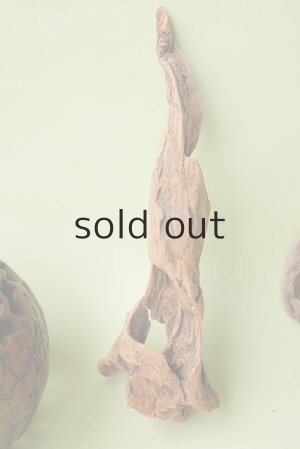 画像2: 変形流木セット