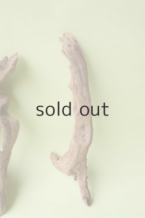 画像4: 変形流木セット