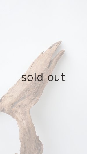 画像4: 変形流木