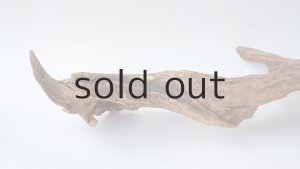 画像5: 変形流木