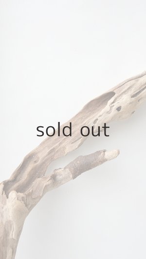 画像5: 変形流木