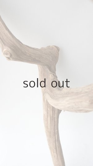 画像9: 変形流木