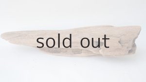 画像7: 変形流木