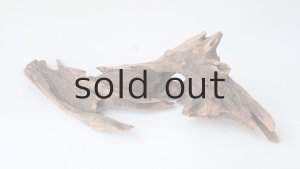 画像6: 変形流木