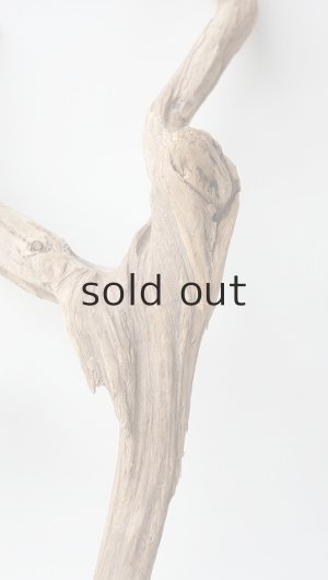 画像3: 変形流木