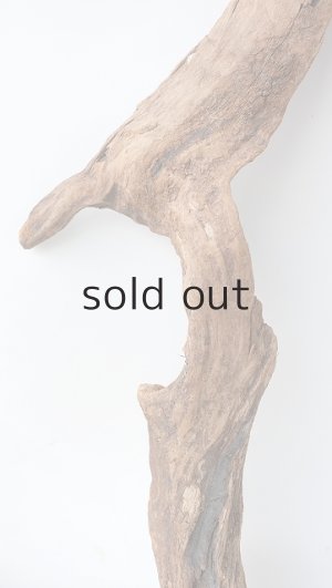 画像3: 変形流木