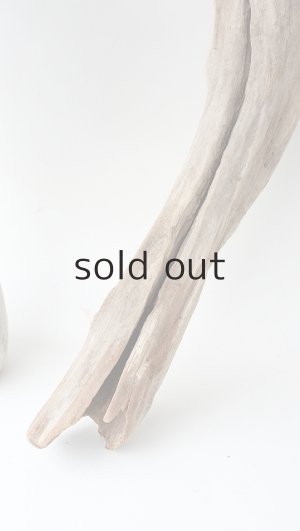 画像2: 変形流木