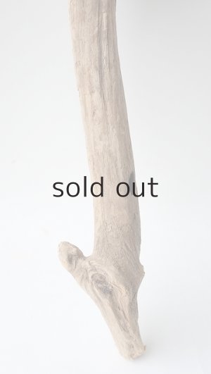 画像6: 変形流木