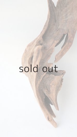 画像2: 変形流木