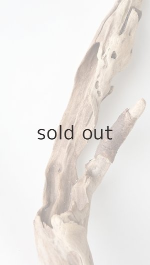 画像7: 変形流木