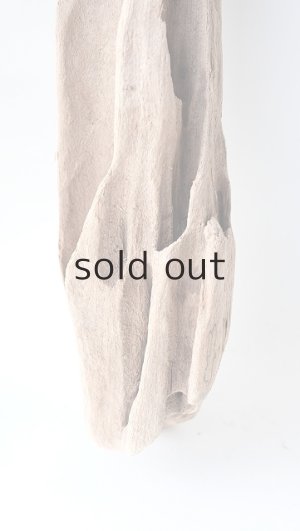 画像2: 変形流木