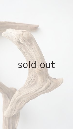 画像8: 変形流木